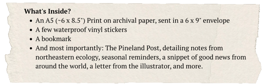 What's Inside?
An A5 (~6 x 8.5") Print on archival paper, sent in a 6 x 9" envelope
A few waterproof vinyl stickers
A bookmark
And most importantly: The Pineland Post, detailing notes from northeastern ecology, seasonal reminders, a snippet of good news from around the world, a letter from the illustrator, and more.